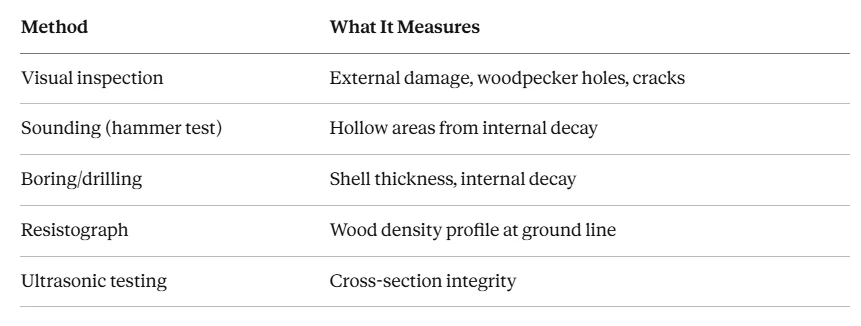 Inspection methods table: visual inspection, sounding, boring/drilling, Resistograph, and ultrasonic testing, and what each measures